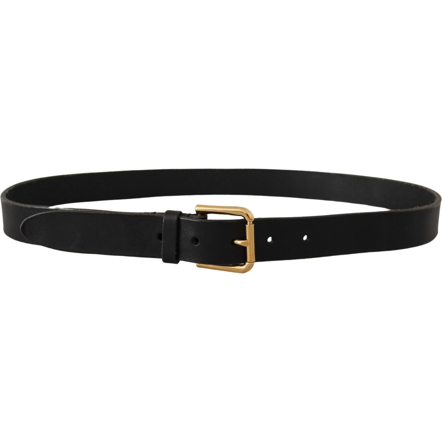 Dolce & Gabbana Brown Classic Leather Gold Metal Buckle Belt BEL8521 - 95