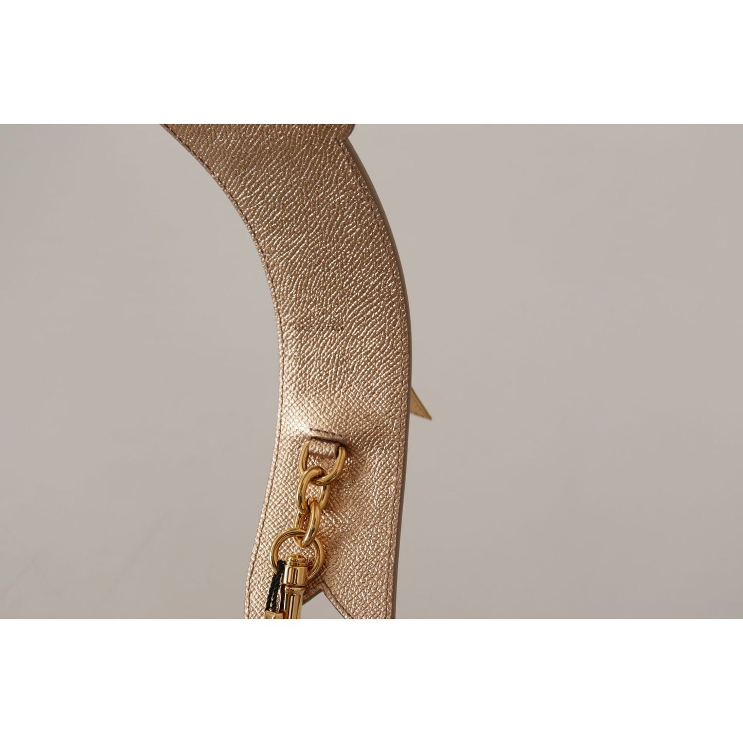 Dolce & Gabbana Gold Leather LOVE Patch Bag Shoulder Strap BEL8723