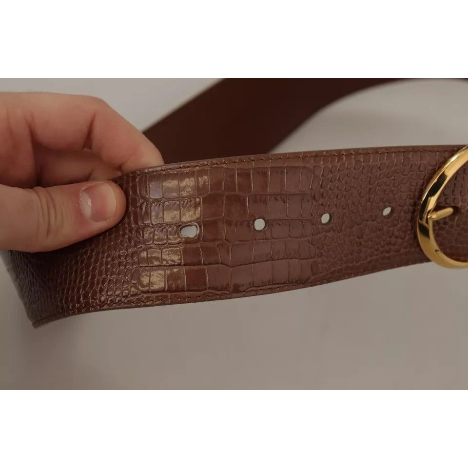 Dolce & Gabbana Brown Wide Waist Leather Gold Oval Metal Buckle Belt WMB125-75