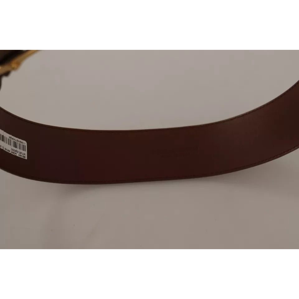 Dolce & Gabbana Brown Wide Waist Leather Gold Oval Metal Buckle Belt WMB125-75