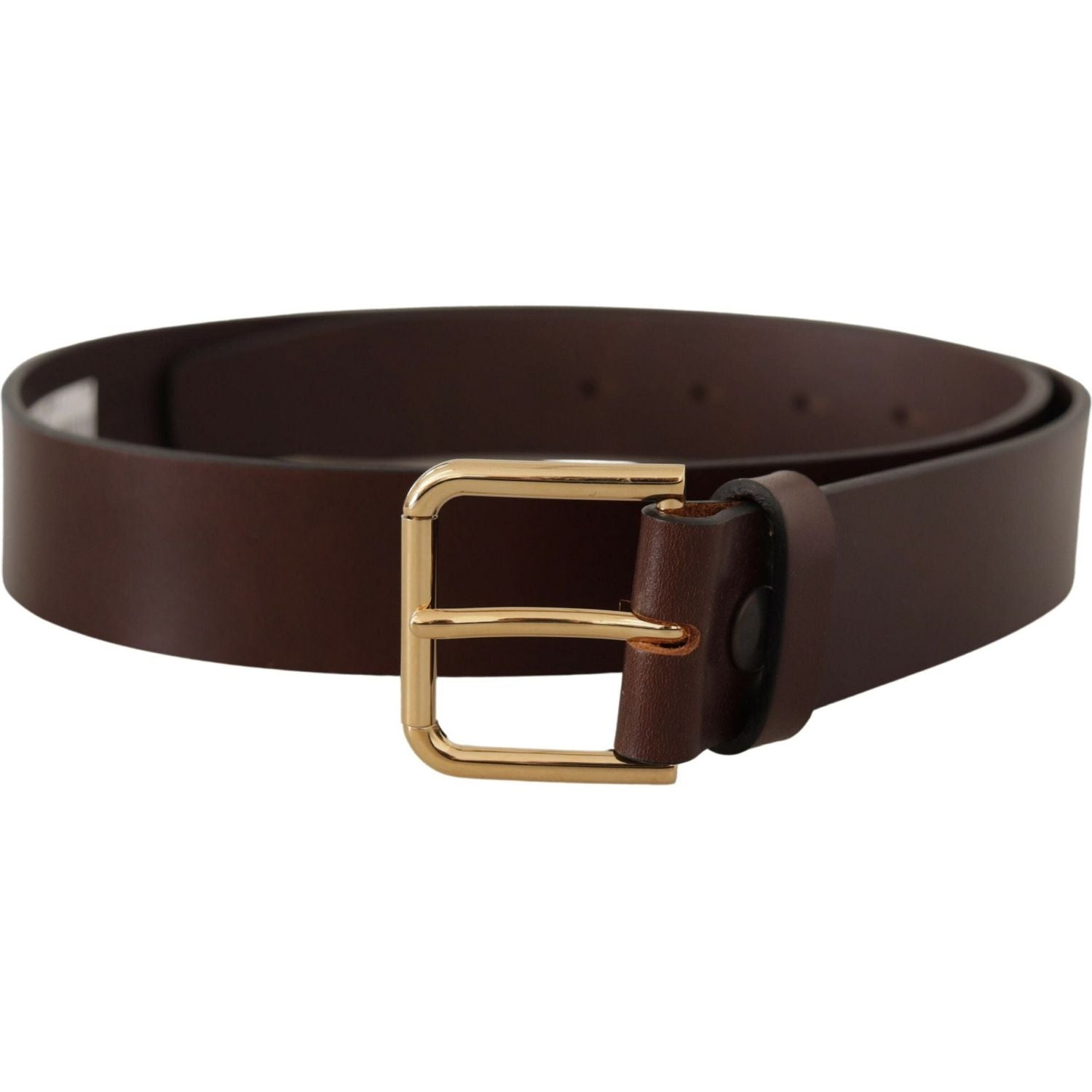 Dolce & Gabbana Brown Plain Calf Leather Gold Tone Buckle Belt