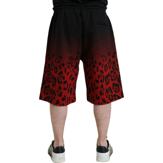 Dolce & Gabbana Red Leopard Print Cotton Bermuda Shorts PAN75020-54