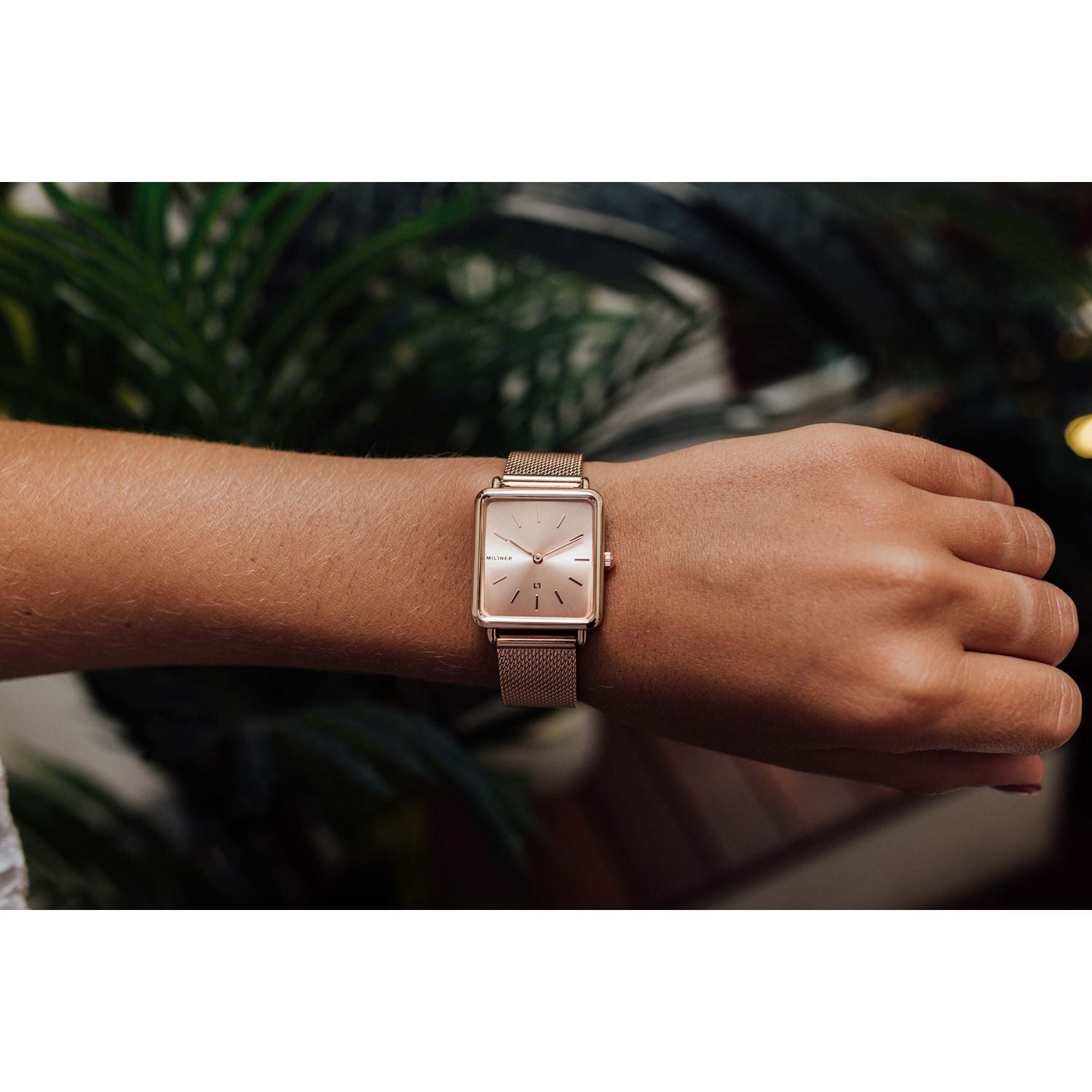 MILLNER Mod. 8425402504956